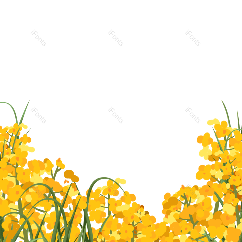 黄色花朵图片,花朵素材元素,PNG,免抠素材